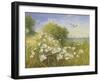 Where Seagulls Fly-Mary Dipnall-Framed Giclee Print