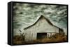 Where the Crows Roost in Autumn-Jai Johnson-Framed Stretched Canvas