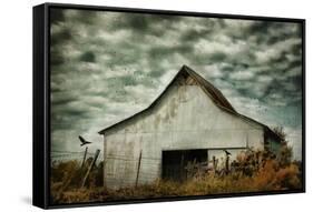 Where the Crows Roost in Autumn-Jai Johnson-Framed Stretched Canvas