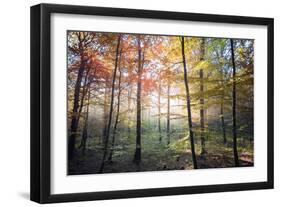 Where the Fairies Roam-Philippe Manguin-Framed Photographic Print