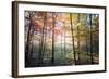 Where the Fairies Roam-Philippe Manguin-Framed Photographic Print