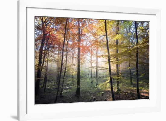 Where the Fairies Roam-Philippe Manguin-Framed Photographic Print