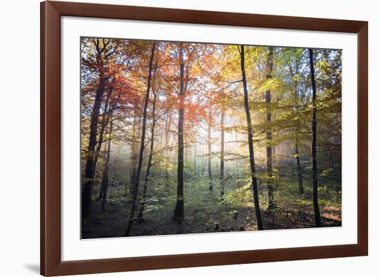 Where the Fairies Roam-Philippe Manguin-Framed Photographic Print