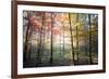 Where the Fairies Roam-Philippe Manguin-Framed Photographic Print