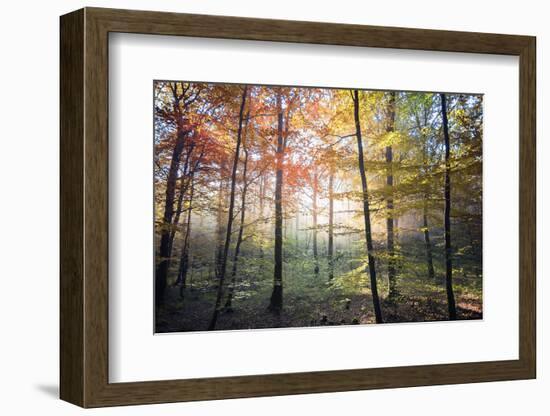 Where the Fairies Roam-Philippe Manguin-Framed Photographic Print