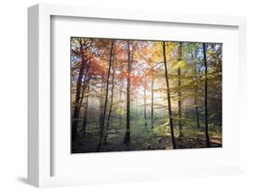 Where the Fairies Roam-Philippe Manguin-Framed Photographic Print