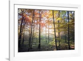 Where the Fairies Roam-Philippe Manguin-Framed Photographic Print