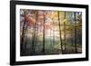 Where the Fairies Roam-Philippe Manguin-Framed Photographic Print