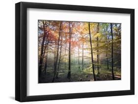 Where the Fairies Roam-Philippe Manguin-Framed Premium Photographic Print