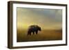 Where the Grizzly Roams-Jai Johnson-Framed Giclee Print