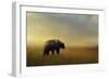 Where the Grizzly Roams-Jai Johnson-Framed Giclee Print