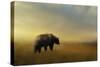 Where the Grizzly Roams-Jai Johnson-Stretched Canvas