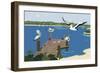 Where The Pelicans Gather-Cindy Wider-Framed Giclee Print