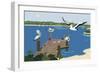 Where The Pelicans Gather-Cindy Wider-Framed Giclee Print
