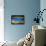 Where Whales Swim-Ursula Abresch-Framed Stretched Canvas displayed on a wall