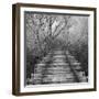 Where-Tomislav Bogovic-Framed Photographic Print