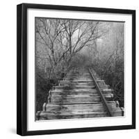 Where-Tomislav Bogovic-Framed Photographic Print