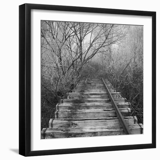 Where-Tomislav Bogovic-Framed Photographic Print