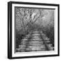 Where-Tomislav Bogovic-Framed Photographic Print