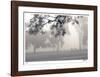 Wheres The Ball-Donald Satterlee-Framed Giclee Print