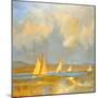 Whidbey Island Beach-Don Tiller-Mounted Premium Giclee Print