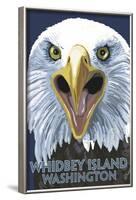 Whidbey Island, Washington - Eagle Up Close-Lantern Press-Framed Art Print