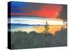Whidbey Island-Herb Dickinson-Stretched Canvas