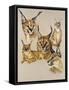 Whimsey-Barbara Keith-Framed Stretched Canvas