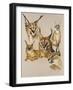 Whimsey-Barbara Keith-Framed Giclee Print