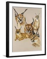 Whimsey-Barbara Keith-Framed Giclee Print