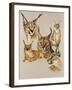 Whimsey-Barbara Keith-Framed Giclee Print