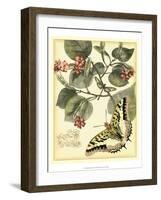 Whimsical Butterflies I-Vision Studio-Framed Art Print