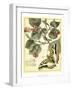 Whimsical Butterflies I-Vision Studio-Framed Art Print