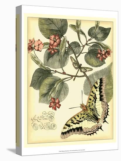 Whimsical Butterflies I-Vision Studio-Stretched Canvas