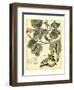 Whimsical Butterflies I-Vision Studio-Framed Art Print