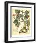 Whimsical Butterflies I-Vision Studio-Framed Art Print