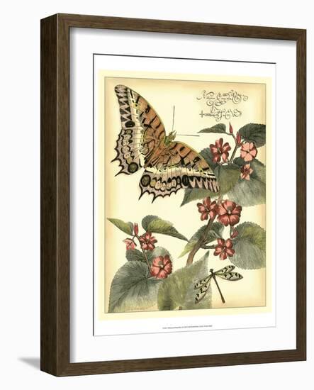 Whimsical Butterflies II-Vision Studio-Framed Art Print