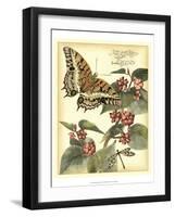 Whimsical Butterflies II-Vision Studio-Framed Art Print