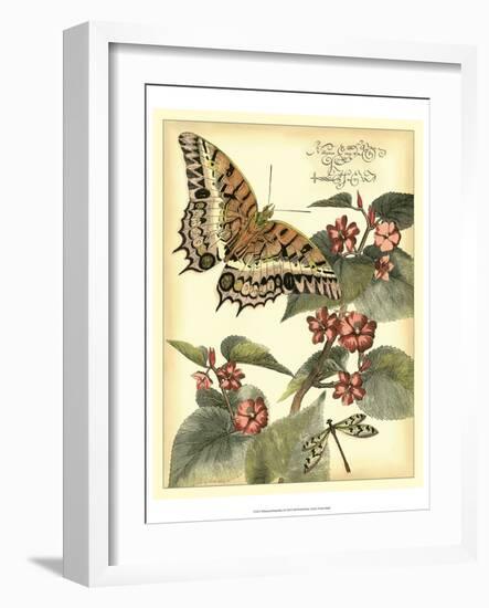 Whimsical Butterflies II-Vision Studio-Framed Art Print