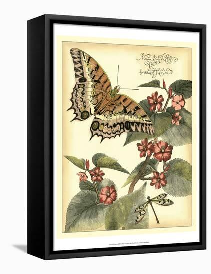 Whimsical Butterflies II-Vision Studio-Framed Stretched Canvas