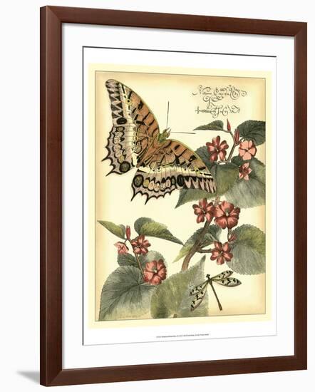 Whimsical Butterflies II-Vision Studio-Framed Art Print