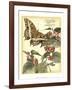 Whimsical Butterflies II-Vision Studio-Framed Art Print