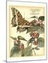 Whimsical Butterflies II-Vision Studio-Mounted Art Print