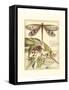 Whimsical Dragonflies I-Vision Studio-Framed Stretched Canvas