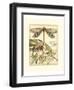 Whimsical Dragonflies I-Vision Studio-Framed Art Print