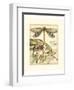 Whimsical Dragonflies I-Vision Studio-Framed Art Print