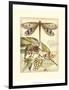 Whimsical Dragonflies I-Vision Studio-Framed Art Print