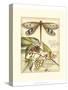 Whimsical Dragonflies I-Vision Studio-Stretched Canvas