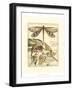 Whimsical Dragonflies I-Vision Studio-Framed Art Print