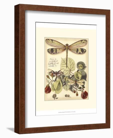 Whimsical Dragonflies II-Vision Studio-Framed Art Print